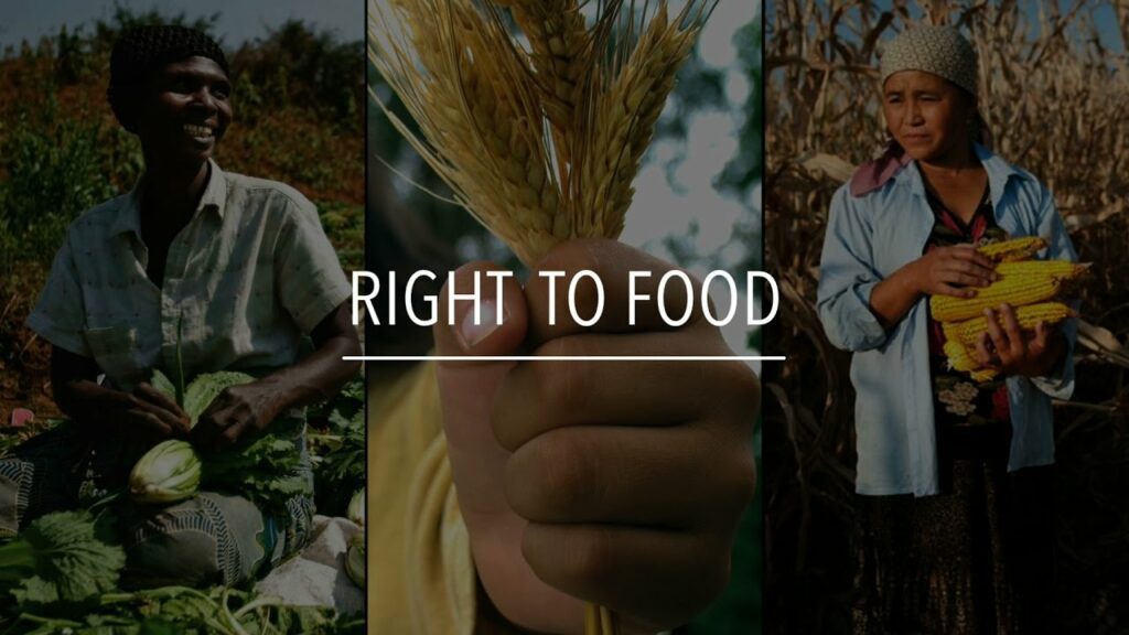 RIGHT TO FOOD