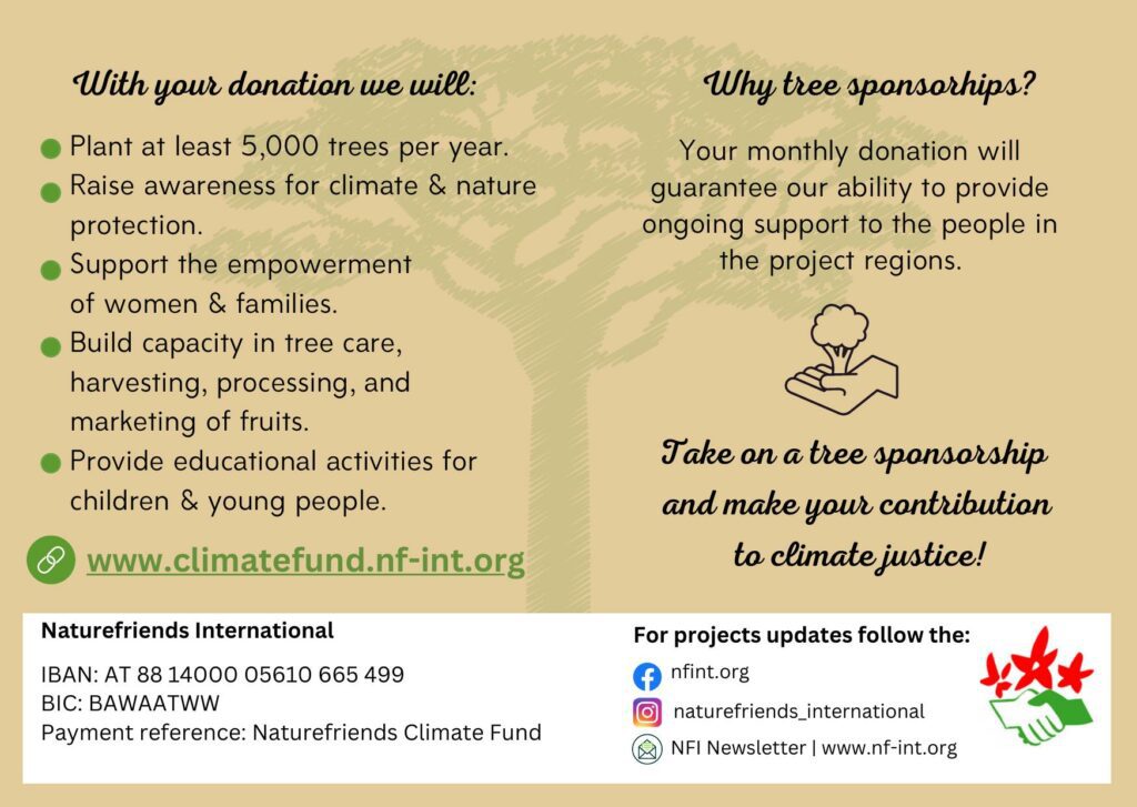Tree Sponsorships in Senegal The Gambia 2
