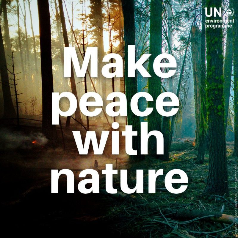 MAKE PEACE WITH NATURE